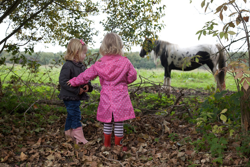 Unilever-herfst--10261.jpg